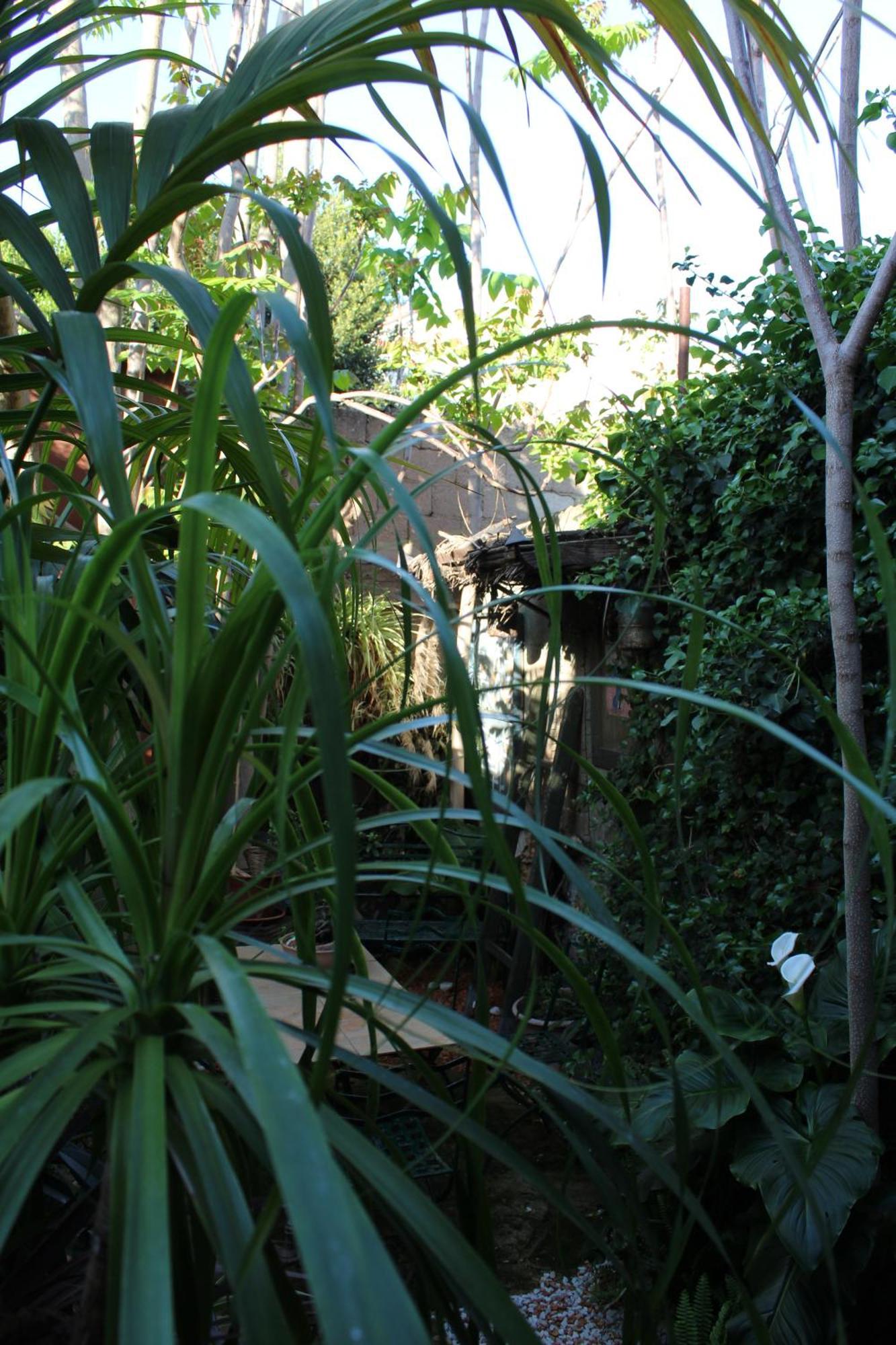 Il Giardino Di Chiara Bed and Breakfast Οριστάνο Εξωτερικό φωτογραφία